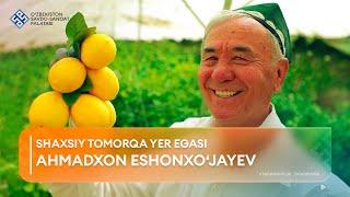 TADBIRKORLIK TAQDIRIMDA: Ahmadxon Eshonxo'jaev, shaxsiy tomorqa yer egasi