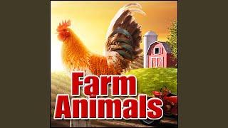 Barn, Animals - Exterior: Sheep, Horses, Cows, Chickens, Pig, General Ambience Farm, Rural &...