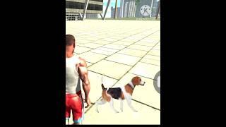 New Dog cheat code in Indian bike driving 3d game me