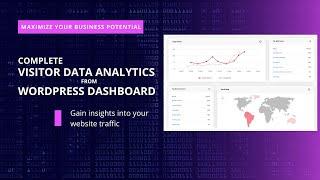 Visitors Data Analytics from WordPress Dashboard | Maximise Business Potential | Slimstat Analytics