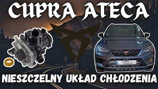 64.000 km i Już Się Zaczyna ‍️ Cupra Ateca 2.0TSI 380PS - Nieszczelny Układ Chłodzenia