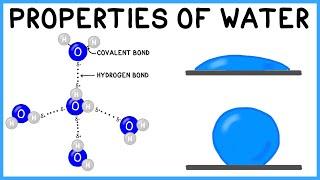 Properties of Water