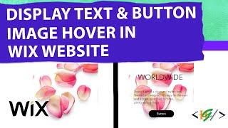 How to Display Button and Text on Image Hover in Wix Website