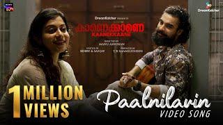 Paalnilavin Video Song| Kaanekkaane| Ranjin Raj| Vinayak Sasikumar|Sithara Krishnakumar|Manu Ashokan