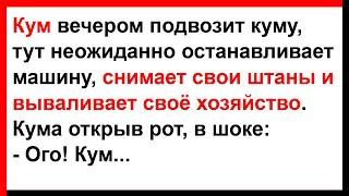 Кум неожиданно снимает свои штаны и вываливает своё хозяйство... Анекдоты! Юмор! Позитив!