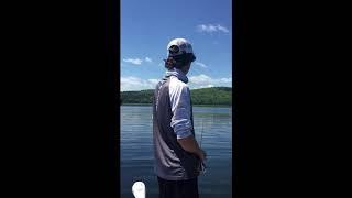 Quabbin Reservoir bedding Smallmouth