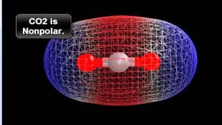 Is CO2 Polar or NonPolar?