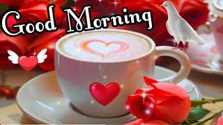 Good Morning status , Good Morning shayari , Good  Morning video , Good Morning