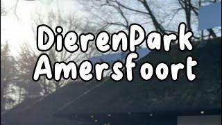 DierenPark Amersfoort 2024