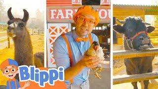 Blippi Visits a Petting Zoo | Best Animal Videos for Kids | Kids Songs and Nursery Rhymes