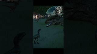 The Indominous Rex and Velociraptor silently plot their escape #jurassicworldevolution2 #dinosaur