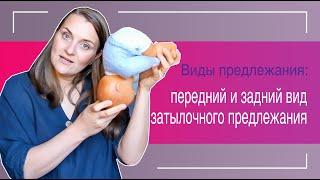 №24 Виды предлежания: Передний и задний вид затылочного предлежания