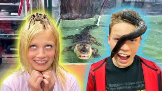 Giant Spiders, Snakes and Gators! Ninja Fam