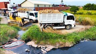 Wonderful team work!! Bulldozer and damp trucks show great kill filling land in action