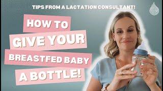 Paced Bottle Feeding | How To Give Bottles to Breastfed Babies