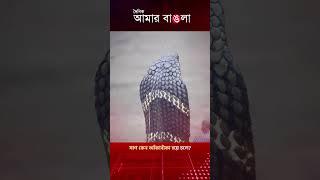 সাপ কেন আঁকাবাঁকা হয়ে চলে? #daily_amar_bangla #amarbangla #news