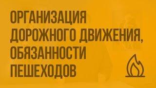 Организация дорожного движения, обязанности пешеходов и пассажиров. Видеоурок по ОБЖ 8 класс