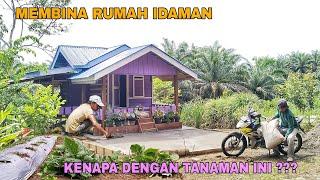 MEMBINA RUMAH IDAMAN || KENAPA TANAMAN INI DI CABUT..!!