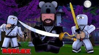 I AM A ROBLOX NINJA MASTER + CODES!!