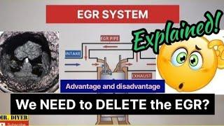 EGR Explained! Do we Need to DELETE the EGR?
