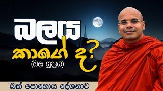 බලය කාගේ ද? (බල සූත්‍රය) | Ven Aludeniye Subodhi Thero