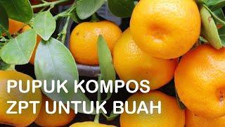 PUPUK KOMPOS ZPT UNTUK BUAH