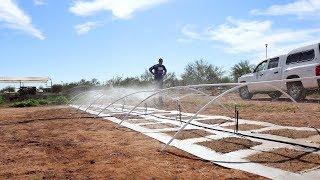 This is how you fix the desert's soil crust