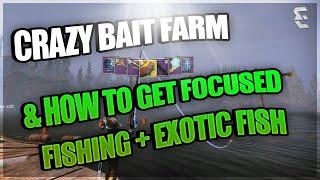 Destiny 2 Crazy Bait Farm / Full Fishing Guide! (Exotic Fish Season of the Deep)