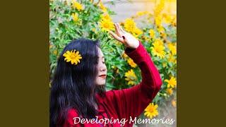 Developing Memories