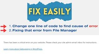 Fix! There has been a critical error on your website | WP Debug and WP Debug Display