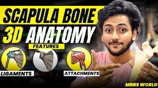 Scapula Bone Anatomy 3D - Upper Limb | Attachments of Scapula , Ligaments & Features | MBBS World