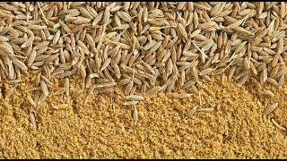 How to Export Cumin Seed [जीरा] I SIMON RAKS #export #exportimport #cumin