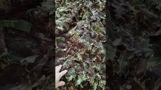 Novritsch Kruezotter Ghillie Suit - First Test