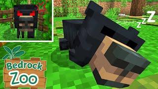 Black Bears Join the Zoo!! | Minecraft Bedrock Zoo with Add-Ons