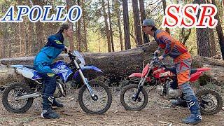 SSR vs APOLLO which pit bike is better ( Best budget pit bike )