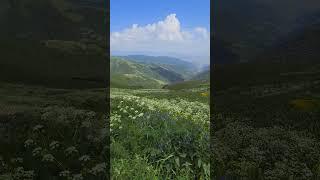 Tsaghkunyats lake trial. Поход к озеру Цахкуняц, путь туда и обратно 10 км #armenia #hiking  #горы