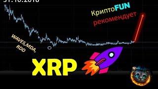 КриптоFUN рекомендует XRP.