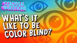 What is it Like to Be Colorblind? | COLOSSAL QUESTIONS