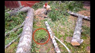 Tätä ei saanut tuhota. Pro Finnish Lumberjack And Husqvarna 572 XP.