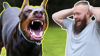 Aggressive Dog Fixed In SECONDS! You'd Never Guess What We Discovered!