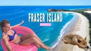 Would You Explore Fraser Island Alone After This? 