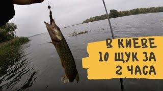Рыбалка в Киеве  За 2 часа 10 щук
