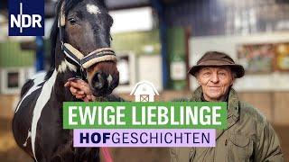 Unsere Lieblinge | Die Nordreportage: Hofgeschichten | NDR