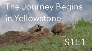 The Journey Begins in Yellowstone  |  Behind The Lens  |  S1E1  | Inspire Wild Media