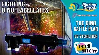 Winning the Battle Against Dinoflagellates!  How to Install a UV Sterilizer