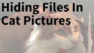 Hiding Files In Images - Kali Tutorial Steganography