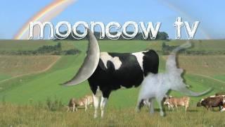 MoonCow Intro