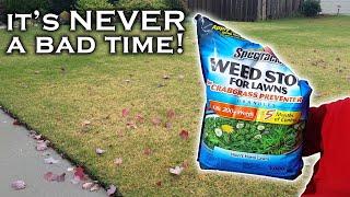 It’s not too late to prevent weeds. Spectracide Weed Stop Pre-Emergent can help if you use it right.