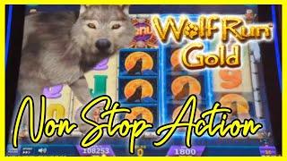 Wolf Run Gold Was on FIRE! $18 Max Bet AOTW