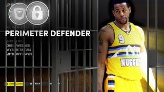 RARE "Perimeter Defender" Build on NBA 2K22 Next Gen!